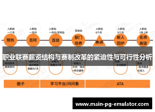 职业联赛薪资结构与赛制改革的紧迫性与可行性分析