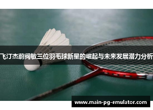 飞汀杰蔚阀敏三位羽毛球新星的崛起与未来发展潜力分析