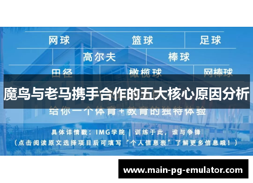 魔鸟与老马携手合作的五大核心原因分析